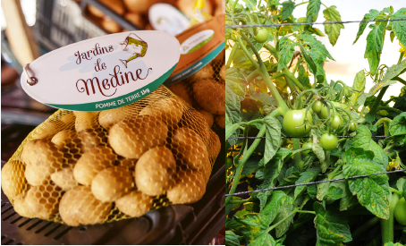 Une activité de production pleinement respectueuse des normes phytosanitaires ainsi qu’une unité de conditionnement et de stockage unique à Maurice garantissent des produits sains et frais toute l’année.