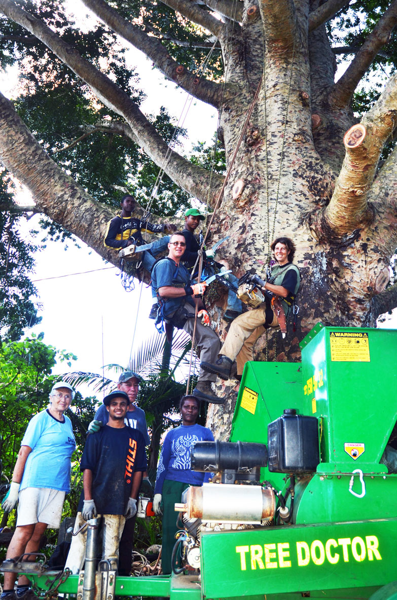 L’équipe de Tree Doctor.
