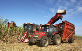Agro-industrie: moderniser pour survivre | business-magazine.mu