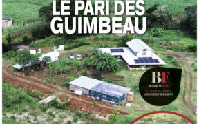 Bambous Virieux - Le pari des Guimbeau | business-magazine.mu