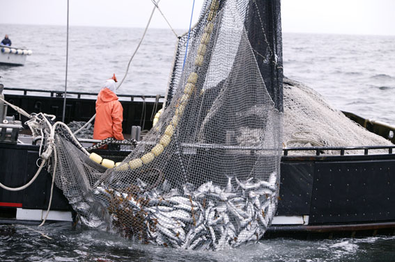 Accord de Pêche avec l’Union européenne | business-magazine.mu
