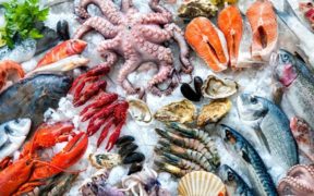 Seafood : croissance en net recul | business-magazine.mu