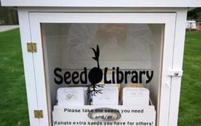 Seed Library : rendez-vous ce samedi au Caudan | business-magazine.mu