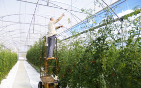 Top Nature : Le goût d’une agriculture éco-responsable | business-magazine.mu