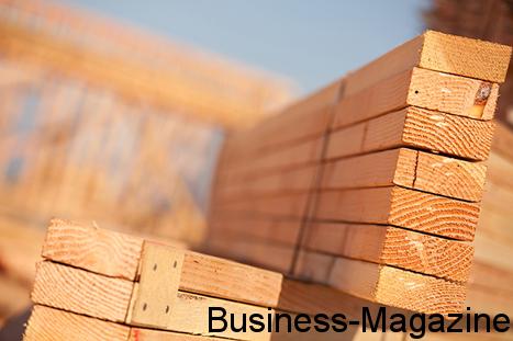 Le marché du bois timide face à l’innovation | business-magazine.mu