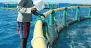 Pêche : exploiter le fort potentiel de l’aquaculture | business-magazine.mu