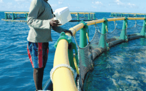 Pêche : exploiter le fort potentiel de l’aquaculture | business-magazine.mu