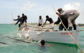Pêche artisanale: une fédération régionale en gestation | business-magazine.mu