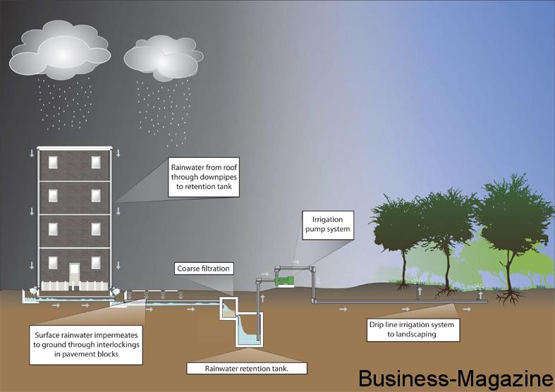 Prodesign : tirer le meilleur parti des eaux pluviales | business-magazine.mu