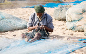 Seychelles: promouvoir la pêche durable | business-magazine.mu