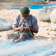 Seychelles: promouvoir la pêche durable | business-magazine.mu