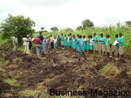 Omnicane investit $ 250 millions dans la canne à sucre au Ghana | business-magazine.mu
