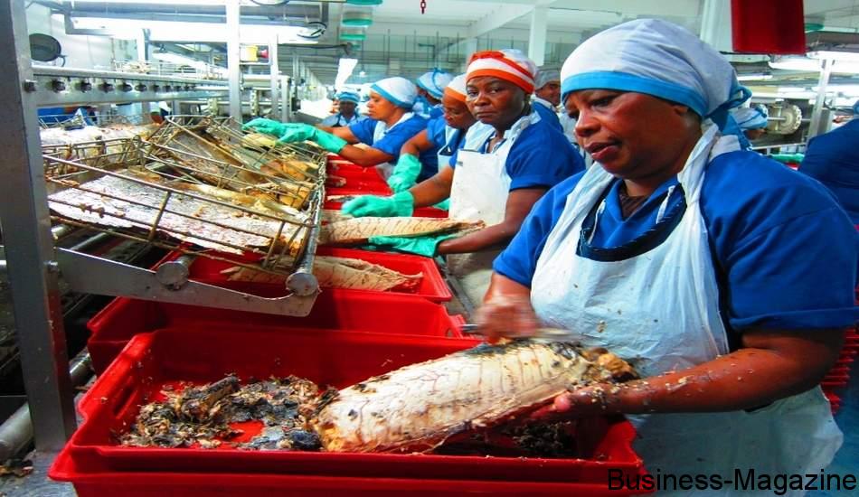 IBL: développements tous azimuts dans le seafood | business-magazine.mu